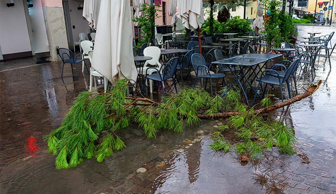 Restaurant area blocked by fallen tree after storm