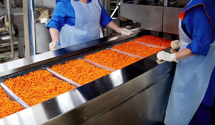 Food production line