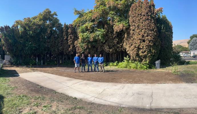 Professional fire damage cleanup team