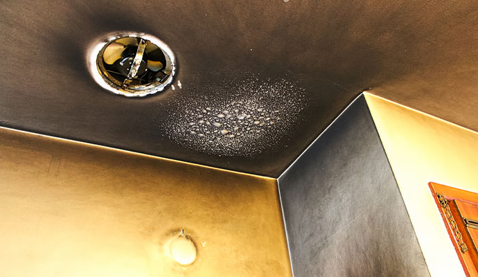 Professional Smoke Odor Removal Service in Yakima