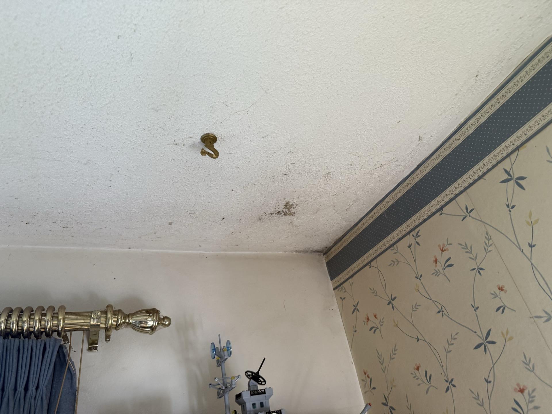 Close-up of a bedroom ceiling showing distinct water stains and minor structural compromise near a wall corner, indicating localized water damage.