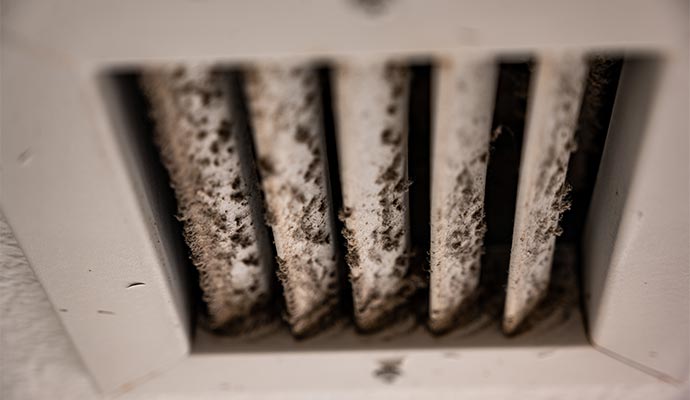 HVAC Mold Remediation in Yakima and Wenatchee