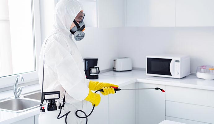 Residential pest control kitchen sanitization