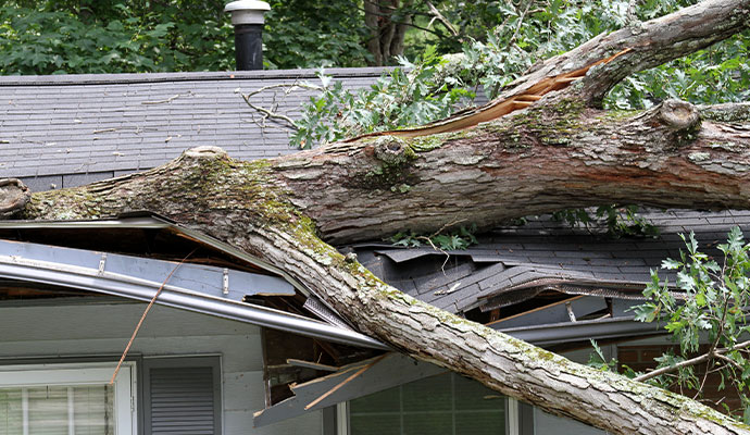 Strong winds caused trees to fall onto the roof, resulting in significant damage