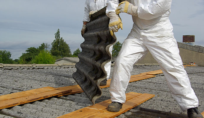 Asbestos removal service