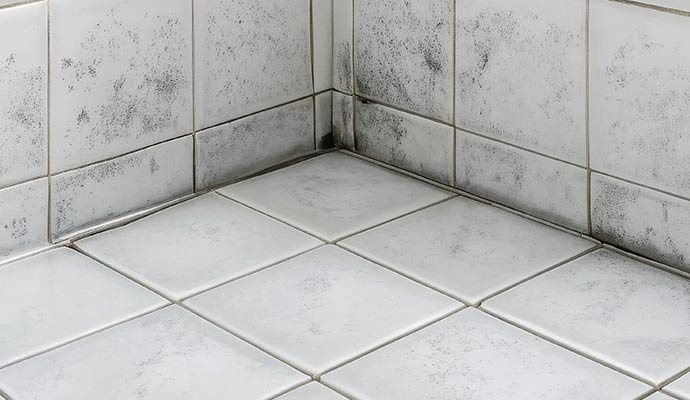 Black mold on bathroom tile