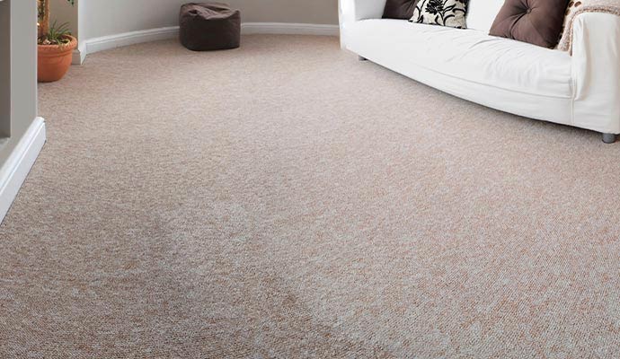 Clean carpet in living space