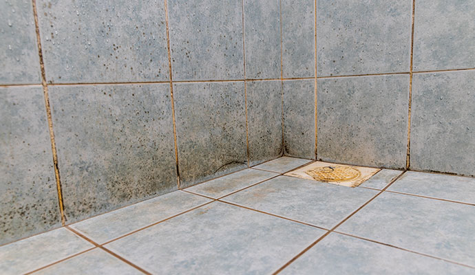 Moisture lead to mold in the bathroom