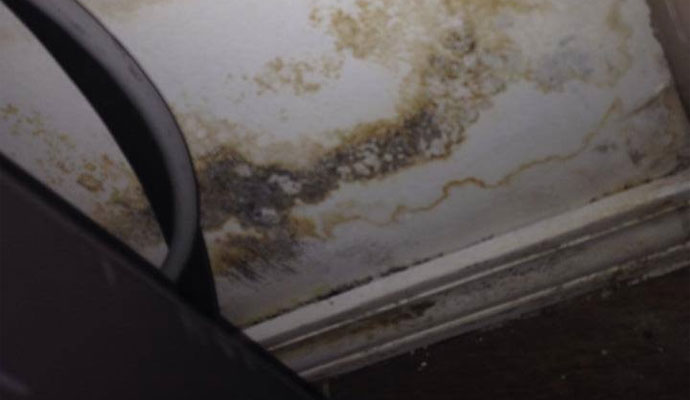 Mold damaged wall