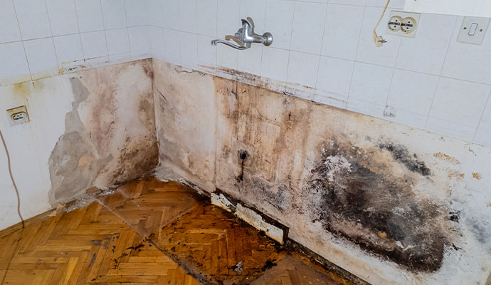 Mold growth in the bathroom