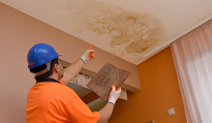A professional inspecting water stained ceiling
