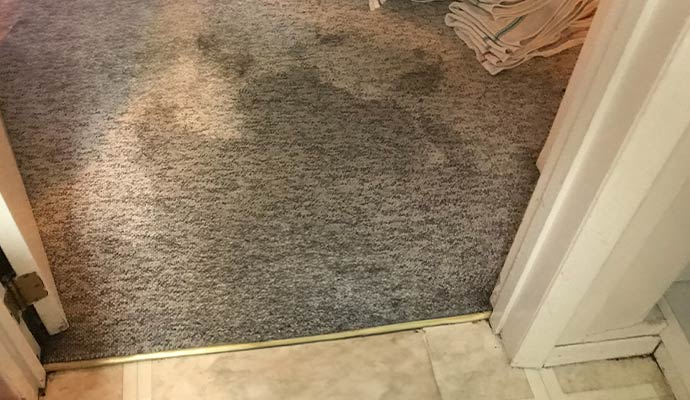 Wet Carpet Water Damage