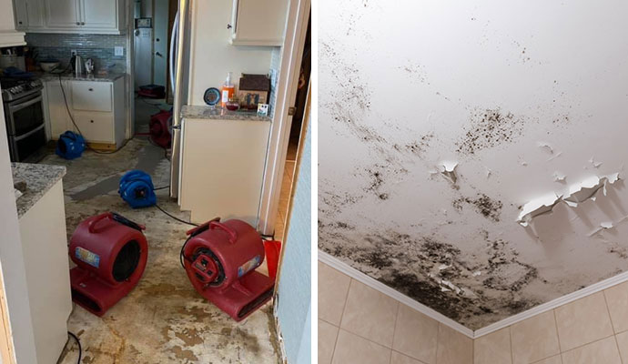 Collage of air dryer and mold on the ceiling